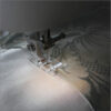 eXplore 160 – Image 5